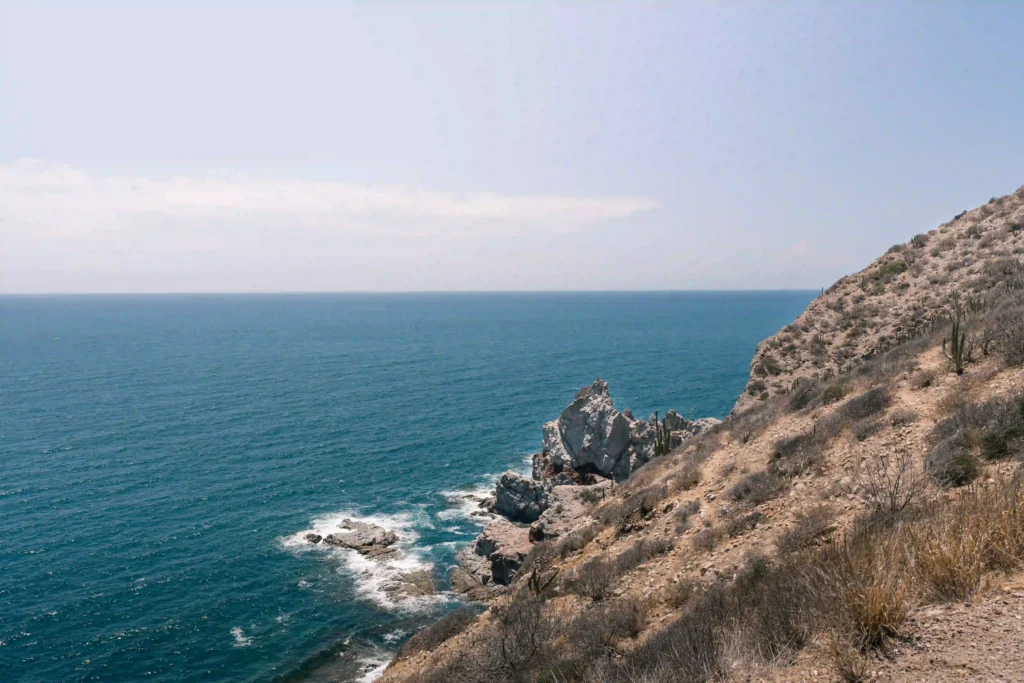 _DSC0267-2_resultado